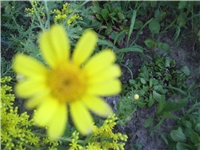 0947f362-Picture 015.jpg